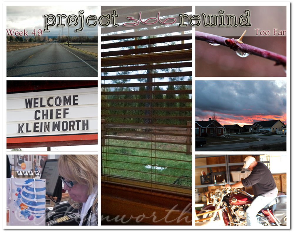 Project 366 Rewind- Week 49, too far