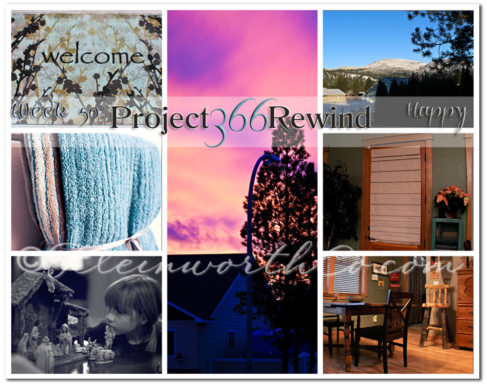 Project 366 Rewind Week 50
