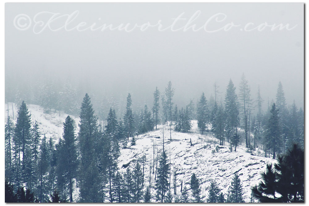 On a Cold Winter's Morning...