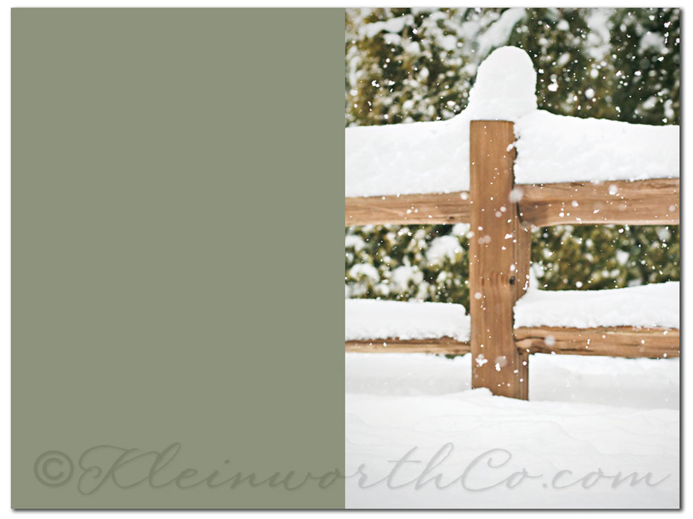 Project 52 - 2013 {Week 2}