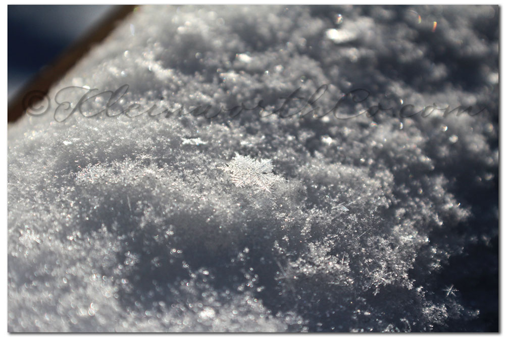 The Miracle of One Snowflake, snowflake images