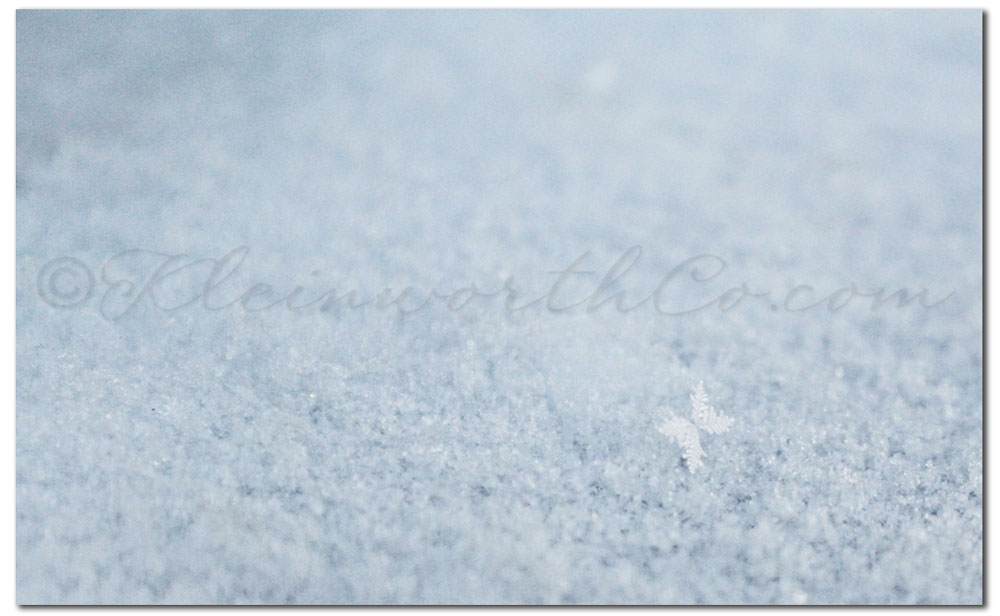 snowflake images, The Miracle of One Snowflake