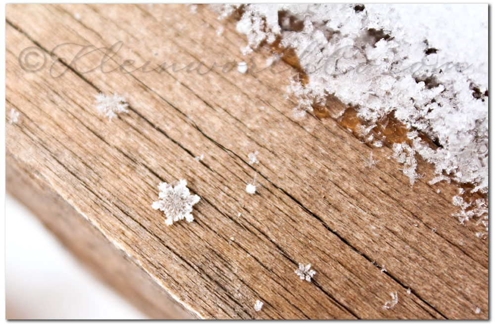 snowflake images, The Miracle of One Snowflake
