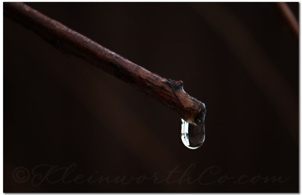 Scavenger Hunt ~ 2-3 2013, peace, water drop, after the rain, melting snow