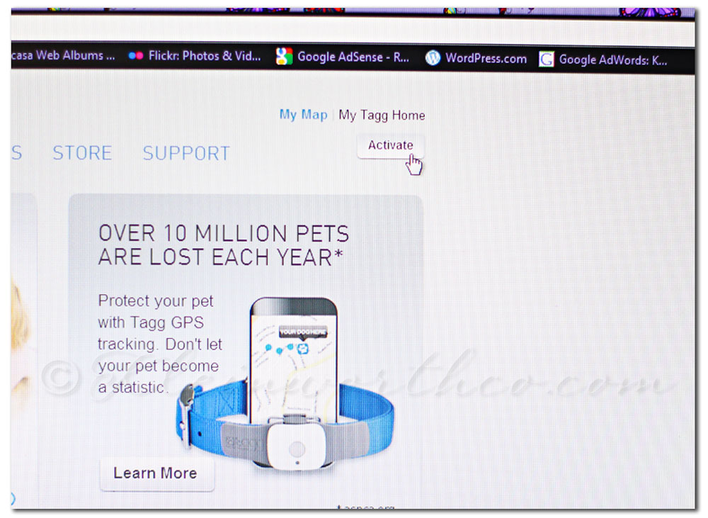 Tagg Pet Tracker