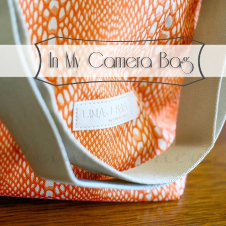 In My Camera Bag {LinaJake Bag}