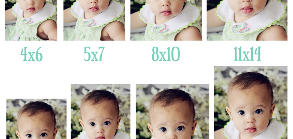Photography Cropping Guide