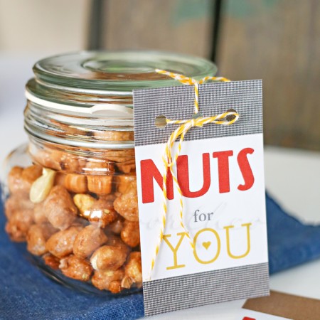 Nuts for You Valentine