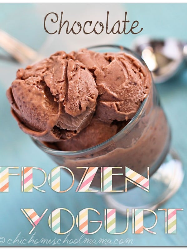 Chocolate Frozen Yogurt Recipe