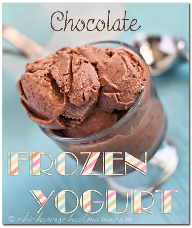 Chocolate Frozen Yogurt - Taste of the Frontier