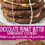 Peanut Butter Nutella Salted Sandwich Cookies