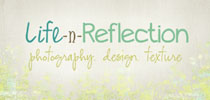 banner for shabby photographer