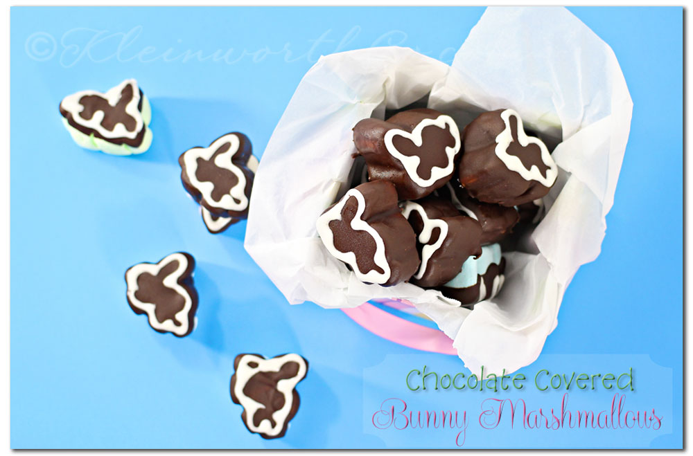 Chocolate Covered Bunny Marshmallows