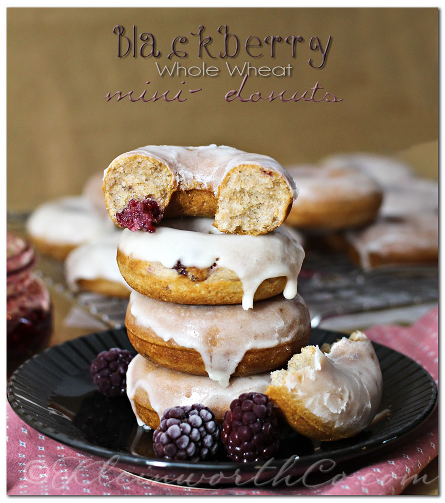 Blackberry Whole Wheat Mini-Donuts {Recipe}