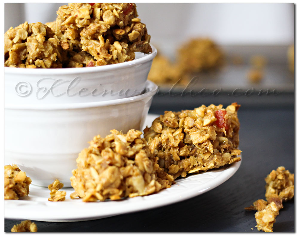 Granola Breakfast Bites {Recipe}