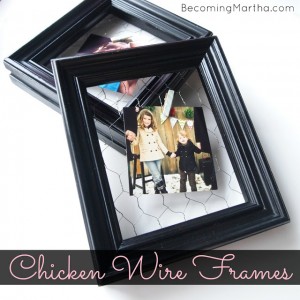 chicken wire frames