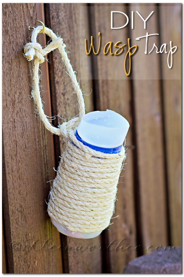Wasp Control with DIY Wasp Trap