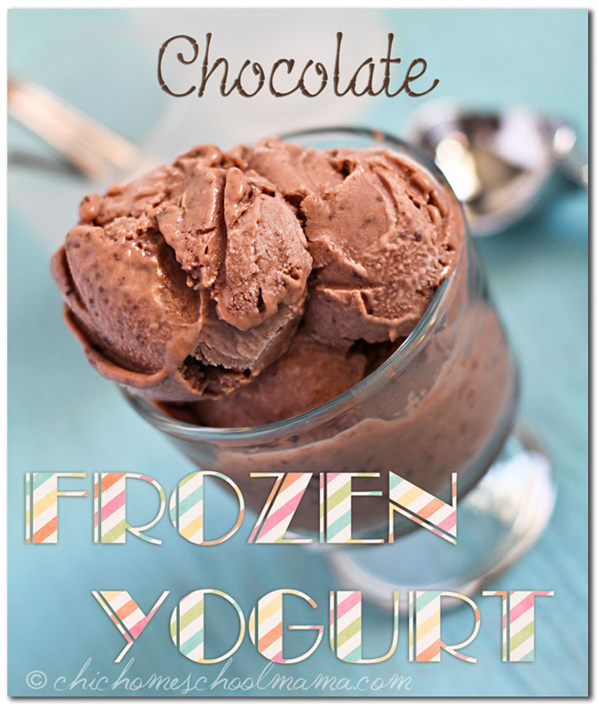 Chocolate Frozen Yogurt