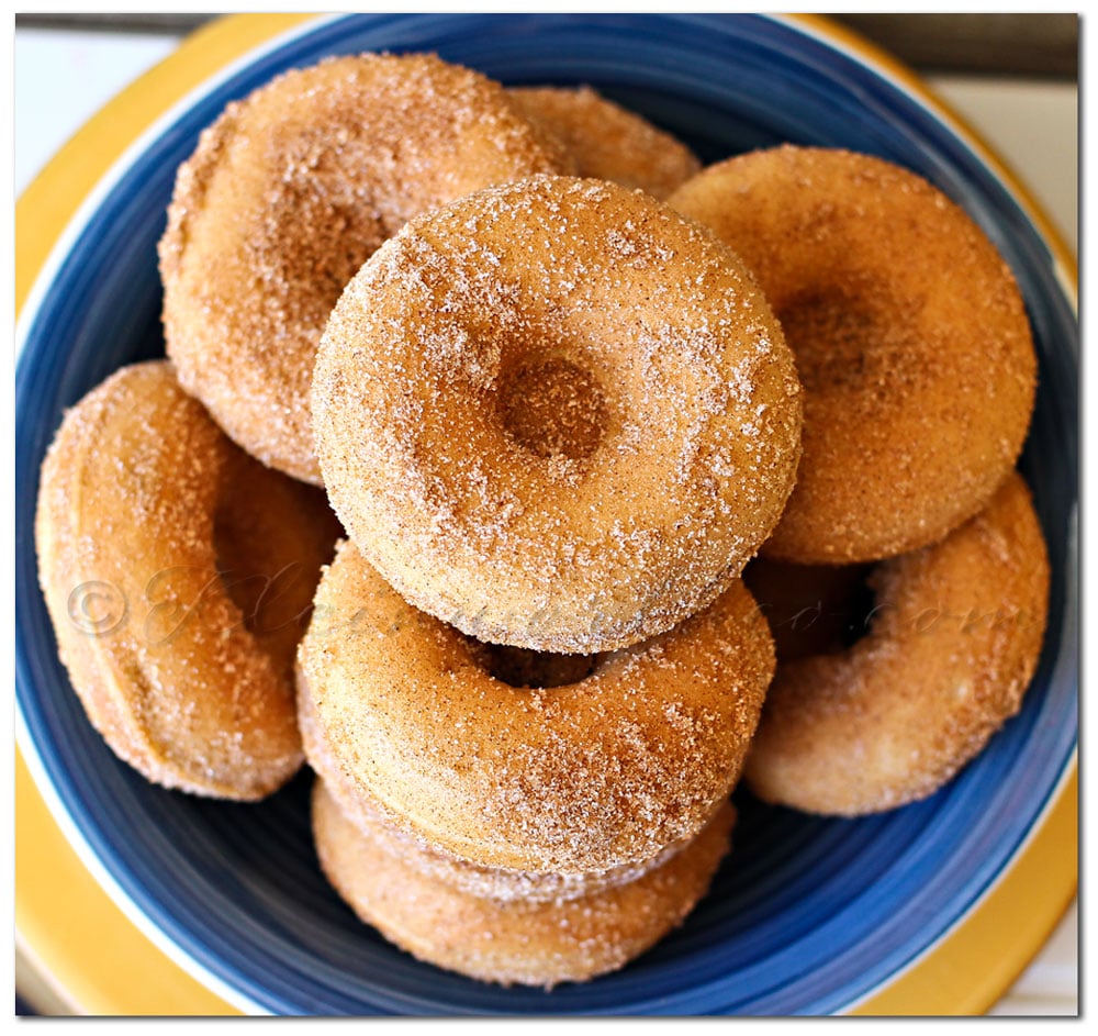 Baked Churro Donuts