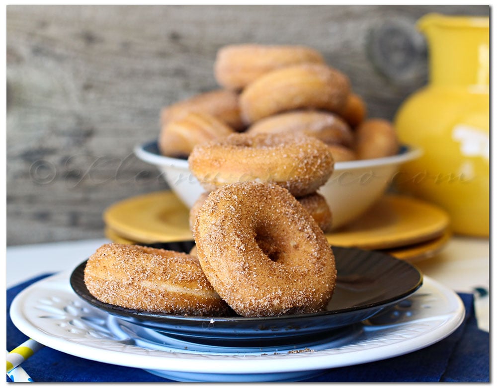 Baked Churro Donuts