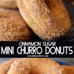 Baked Churro Donuts