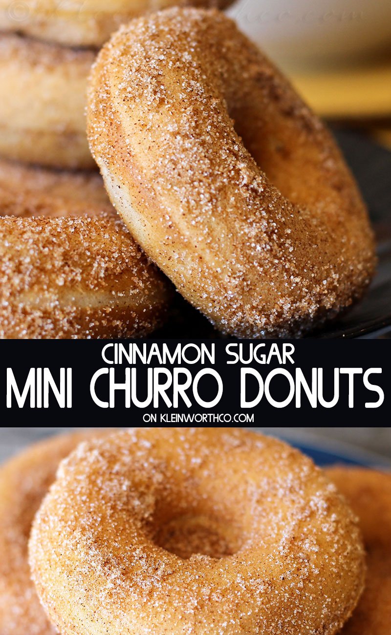 Baked Churro Donuts