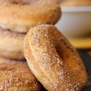 Baked Churro Donuts