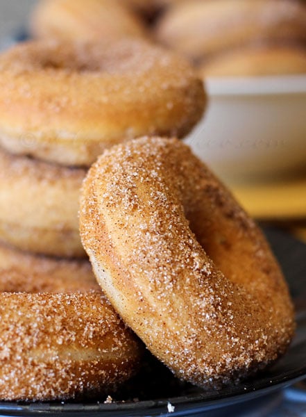 Baked Churro Donuts
