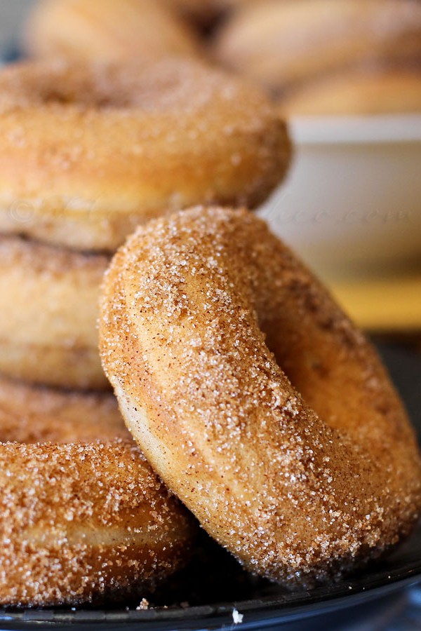 Baked Churro Donuts