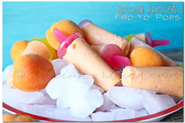 Spiced Apricot Fro Yo Pops