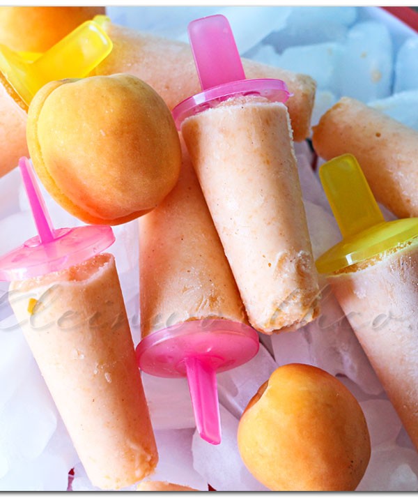 Spiced Apricot Fro Yo Pops