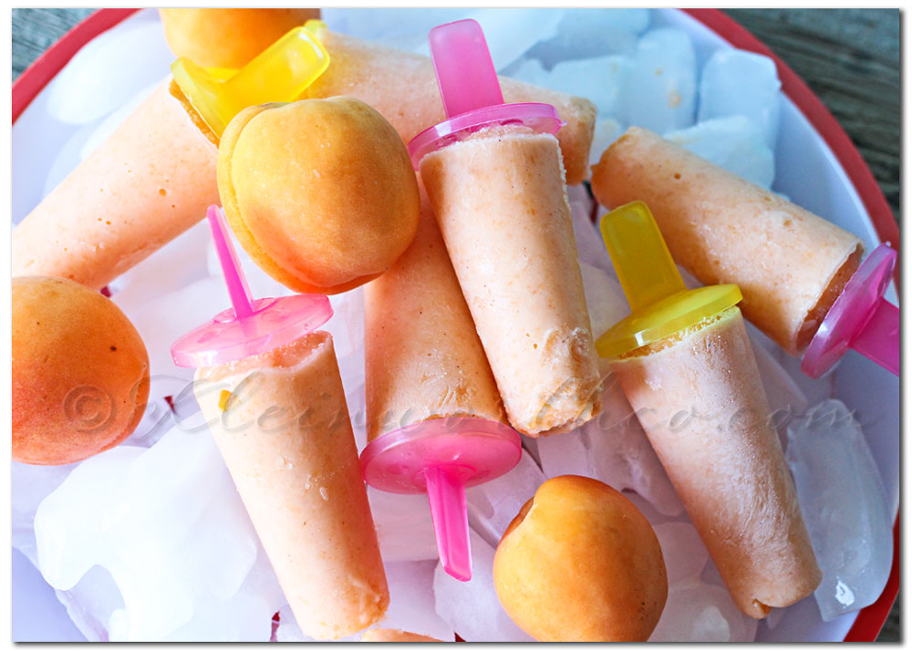 Spiced Apricot Fro Yo Pops