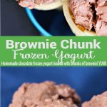 Brownie Chunk Frozen Yogurt