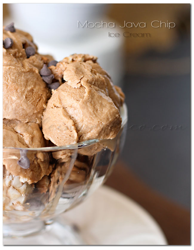 mocha java chip ice cream