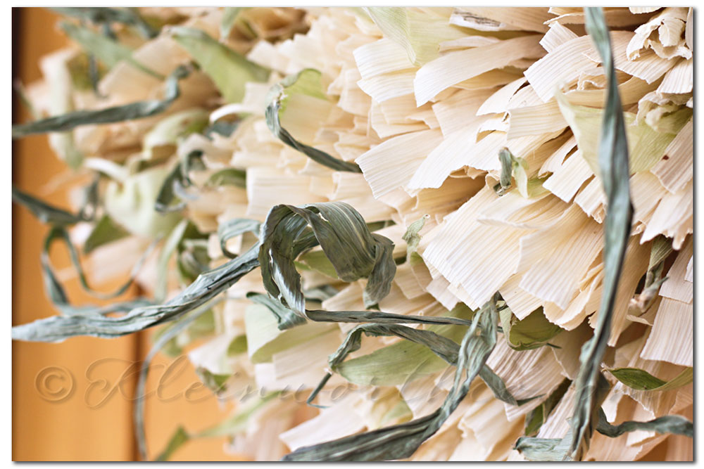 Raw Husk Corn Husk Wreath