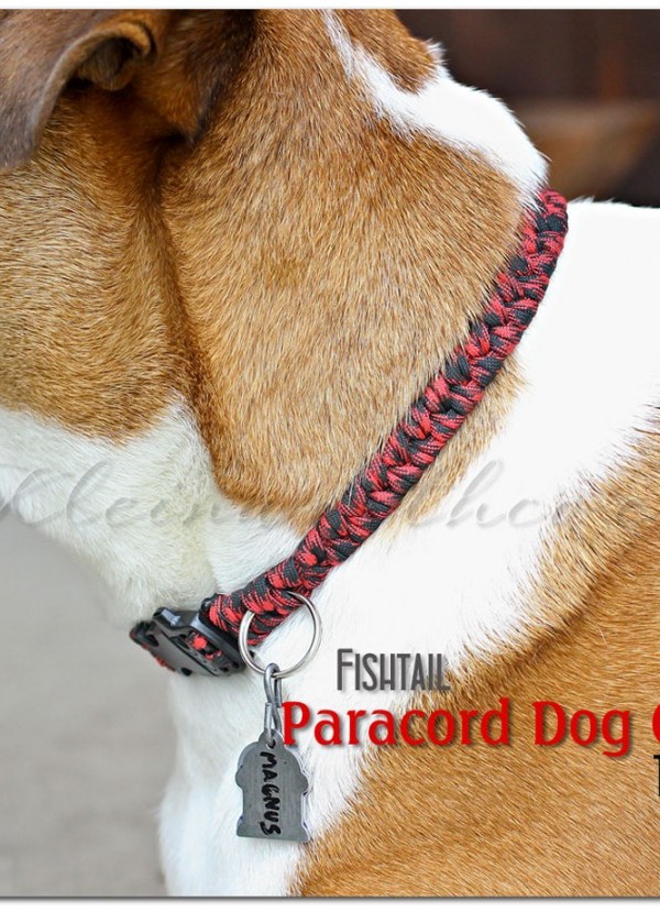 Fishtail Paracord Dog Collar tutorial