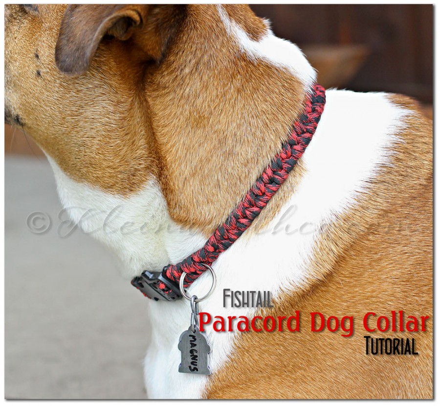 diy paracord dog collar