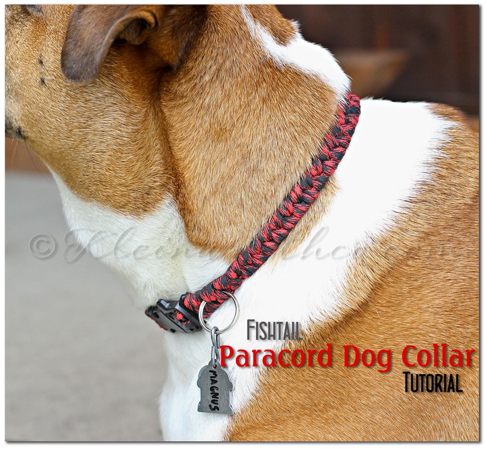 Fishtail Paracord Dog Collar tutorial