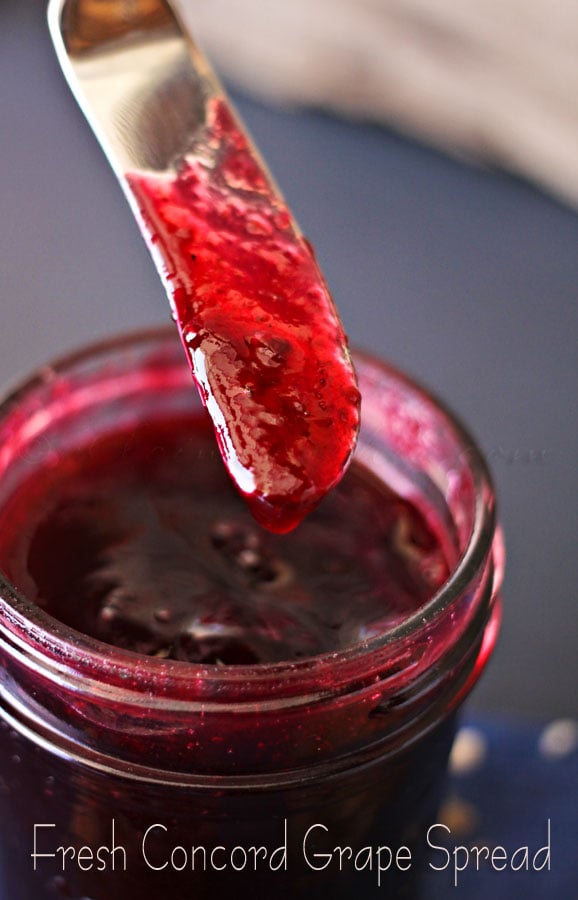 Concord Grape Spread