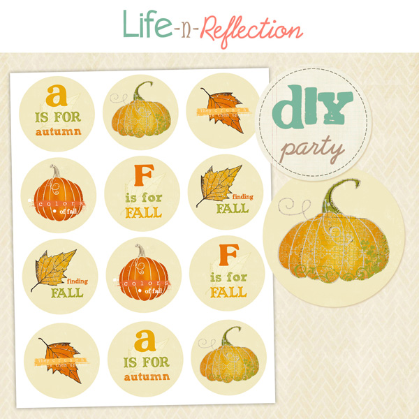 lifenreflection_tag_findingfall_preview