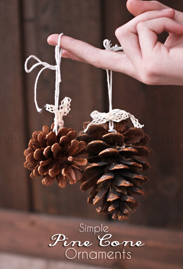  DIY  Scented Pine  Cones  Kleinworth Co