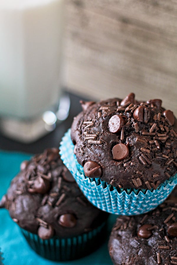 Chocolate Overload Muffins