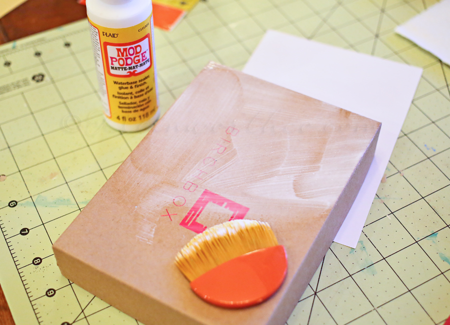 Decorated Dog Treats Box