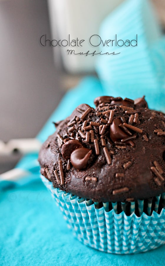 Chocolate Overload Muffins