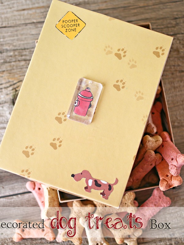 Decorated Dog Treats Box