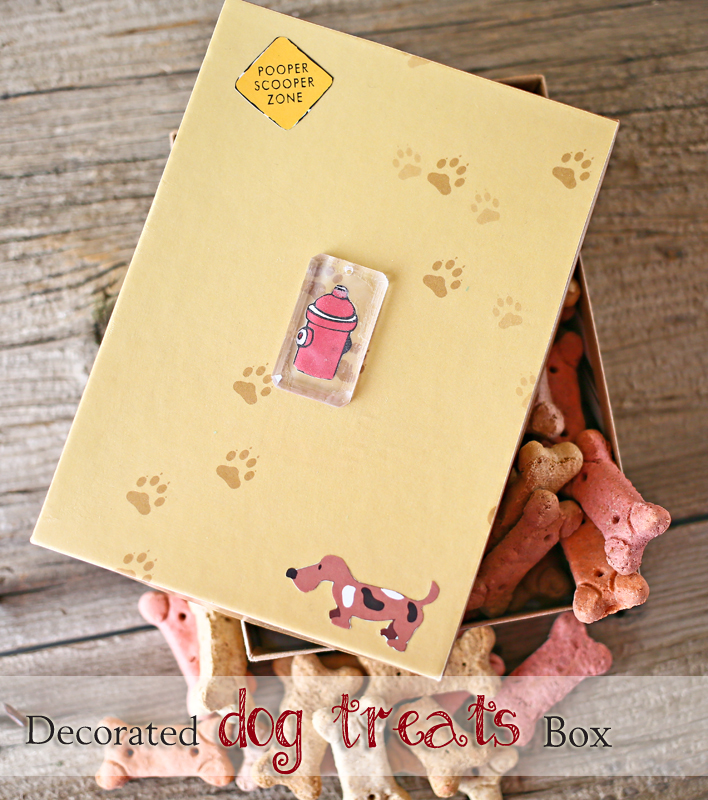 Decorated Dog Treats Box