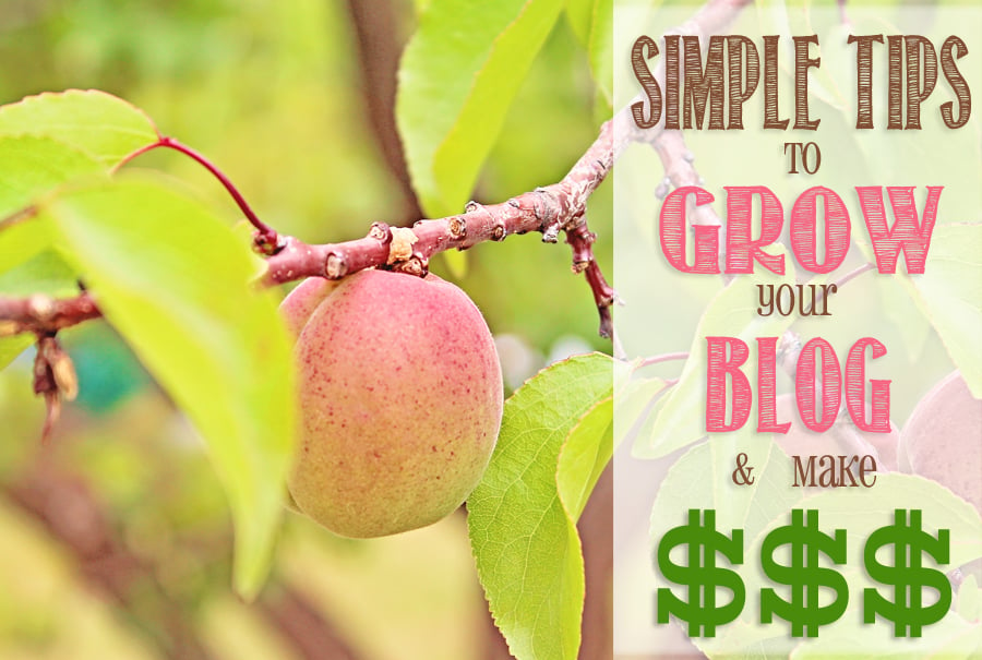 Simple Tips to Grow Your Blog & Make Money