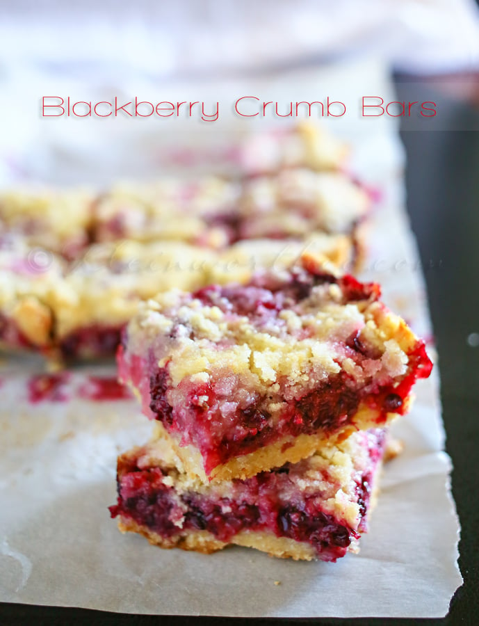 Blackberry Crumb Bars