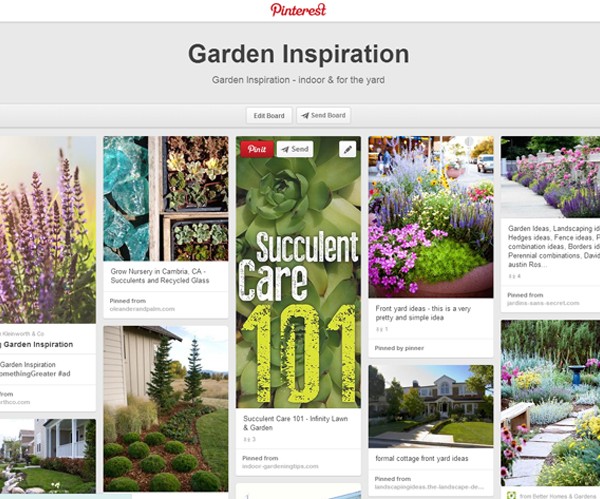 Garden Inspiration