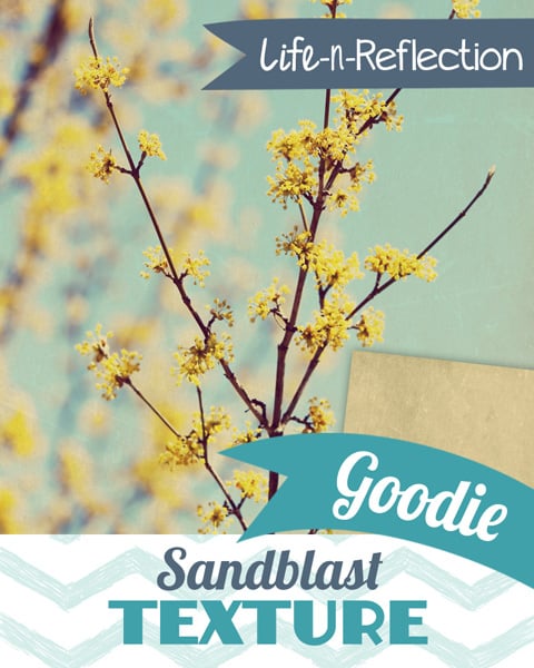 lnr_preview_goodie_sandblast 600